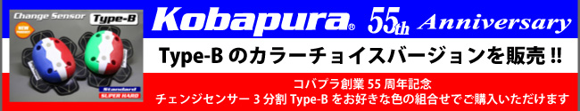 55周年記念!!　Type-Bカラーチョイスバージョン